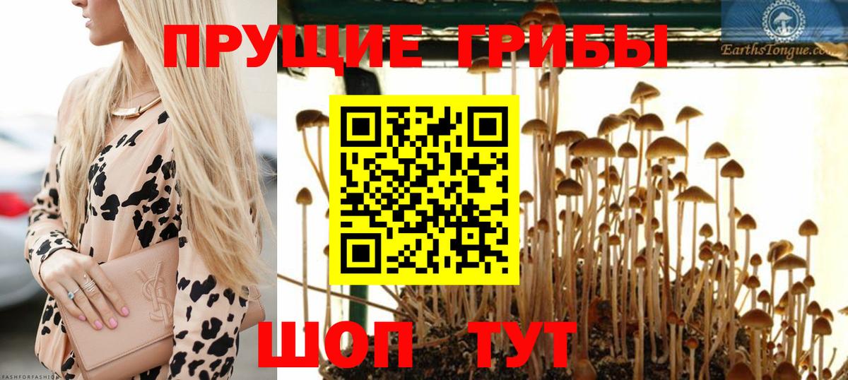Псилоцибиновые грибы прущие грибы Ишим